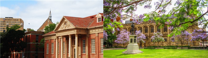 1488166287169065305.jpg 未命名.jpg